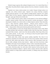 Sveikatos ir aplinkos samprata ir reikšmė 5 puslapis