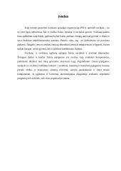 Sveikatos ugdymas visuomenėje 2 puslapis