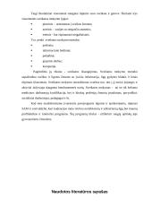 Sveikatos ugdymas visuomenėje 8 puslapis