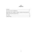 Šeima – pirminė socializacijos institucija 2 puslapis