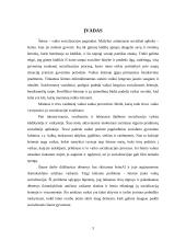 Šeima – pirminė socializacijos institucija 3 puslapis