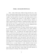 Šeima – pirminė socializacijos institucija 9 puslapis