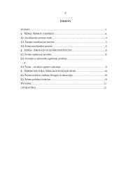 Šeima kaip socialinė institucija 2 puslapis