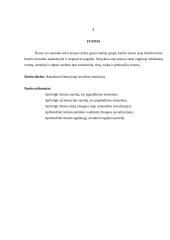 Šeima kaip socialinė institucija 3 puslapis