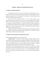 Šeima kaip socialinė institucija 8 puslapis