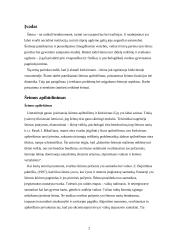 Šeimos samprata ir dinamika 2 puslapis