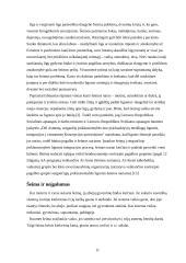 Šeimos samprata ir dinamika 11 puslapis