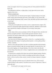 Šeimos samprata ir dinamika 13 puslapis