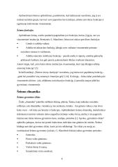 Šeimos samprata ir dinamika 4 puslapis