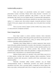 Šeimos sociologija. Socialiniai santykiai 8 puslapis