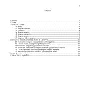 Šengeno zona. Jos plėtra ir galimybės 2 puslapis