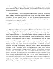 Šengeno zona. Jos plėtra ir galimybės 12 puslapis