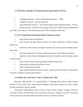 Šengeno zona. Jos plėtra ir galimybės 13 puslapis