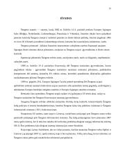 Šengeno zona. Jos plėtra ir galimybės 15 puslapis