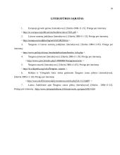 Šengeno zona. Jos plėtra ir galimybės 16 puslapis