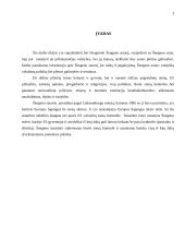 Šengeno zona. Jos plėtra ir galimybės 3 puslapis