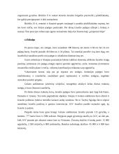 Šešių dienų karas 6 puslapis