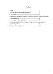 Šildymo automatika 2 puslapis