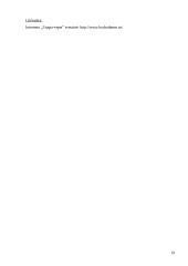 Šildymo automatika 19 puslapis