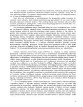 Šintoizmas 6 puslapis