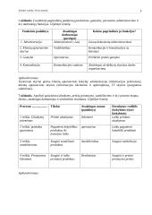 Kokybės vadybos praktinės užduoties ataskaita 3 puslapis