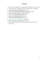 Šiuolaikinės moters verslininkės įvaizdis 14 puslapis