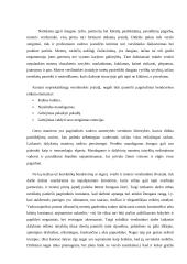 Šiuolaikinės moters verslininkės įvaizdis 6 puslapis