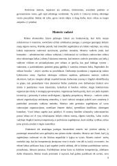 Šiuolaikinės moters verslininkės įvaizdis 9 puslapis