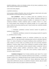 Tarptautinio Baudžiamojo Teismo Romos statutas ir Lietuvos Respublikos teisė 11 puslapis
