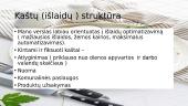Verslo planas - Sveikų pusryčių klubas 10 puslapis