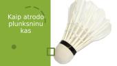 Apie badmintoną 6 puslapis