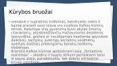 Modernizmas ir Kafka 6 puslapis