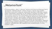 Modernizmas ir Kafka 7 puslapis