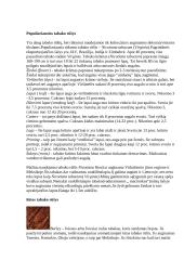 Tabakas ir jo paplitimo istorija 2 puslapis