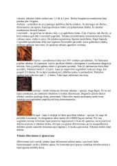 Tabakas ir jo paplitimo istorija 3 puslapis