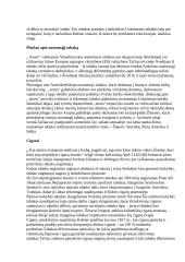 Tabakas ir jo paplitimo istorija 5 puslapis