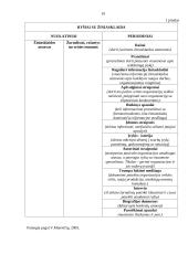 Tarnybos ir verslo etika 19 puslapis