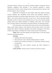Tarnybos ir verslo etika 3 puslapis