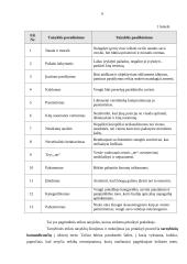 Tarnybos ir verslo etika 6 puslapis