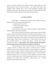 Tarnybos ir verslo etika 7 puslapis