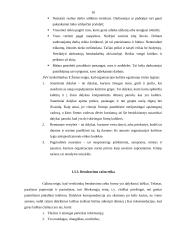 Tarnybos ir verslo etika 10 puslapis