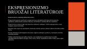 Ekspresionizmas mene, muzikoje ir literatūroje 7 puslapis