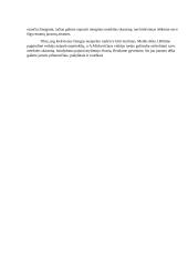 Kada meilė virsta tragedija? (Biliūnas, Mickevičius) 2 puslapis