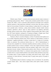 Taros ir pakuotės klasifikavimas mažmeninės prekybos įmonėje "Pliusas" 4 puslapis