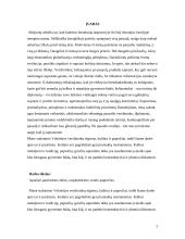 Tarpkultūrinė komunikacija Vokietijoje 2 puslapis