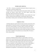 Tarpkultūrinė komunikacija Vokietijoje 3 puslapis