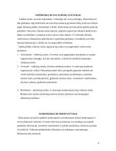 Tarpkultūrinė komunikacija Vokietijoje 4 puslapis