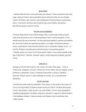 Tarpkultūrinė komunikacija Vokietijoje 6 puslapis