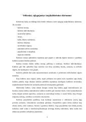 Tarpkultūriniai skirtumai. Rusija 3 puslapis