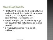 "Madagaskaras" - Kazimiero Pakšto pristatymas 11 puslapis